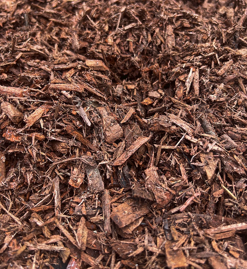 red-dyed-mulch